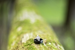 IMG_0219-scaled